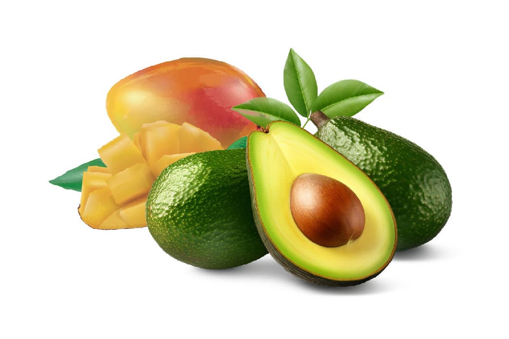 Fresh Prepared
