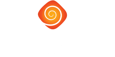 Dai Thuan Logo